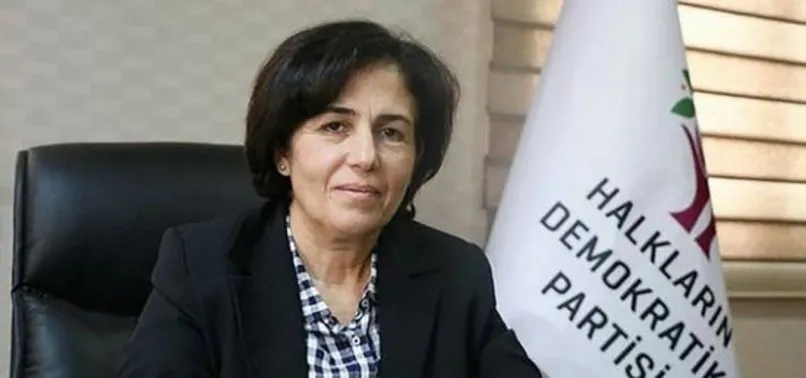 Ölen teröristlere 'şehit' diyen, HDP'li başkana şok