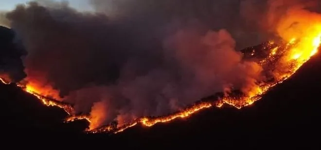 Meksika alev alev yanıyor! 33 farklı noktada aktif orman yangını bildirildi