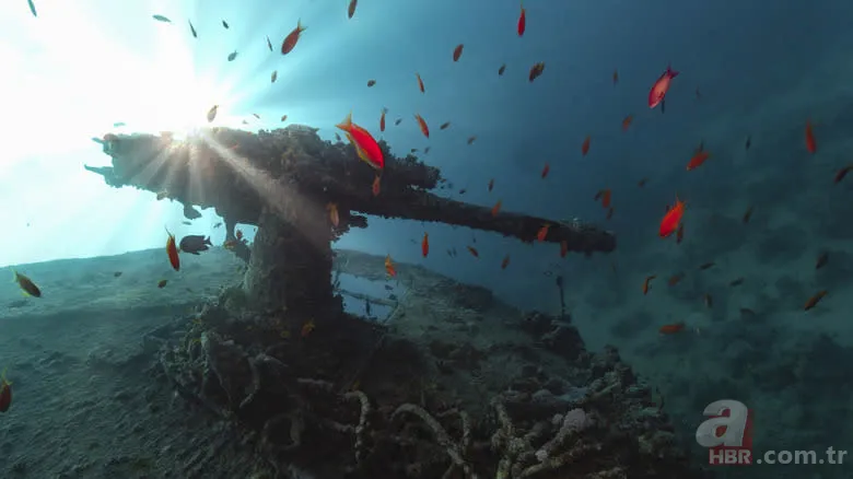 85 yıldır denizin dibinde bekliyor! Savaşın sessiz tanığı: SS Thistlegorm 4