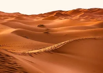 Suudi Arabistan'da 85 bin yıllık keşif