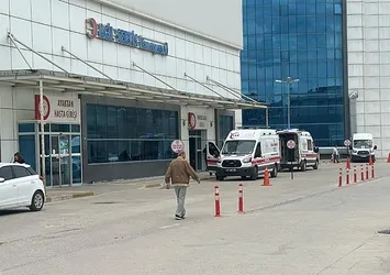Sinop'ta mantardan zehirlenme vakası