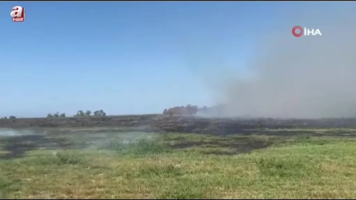 Manyas ve Bandırma arasında sazlık alanda yangın