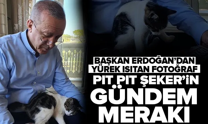 Başkan Erdoğan’dan yürek ısıtan kare: Pıt Pıt Şeker güncel gelişmelere pek meraklı