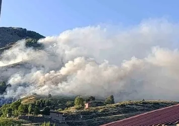 Bingöl'de ağaçlık alanda korkutan yangın