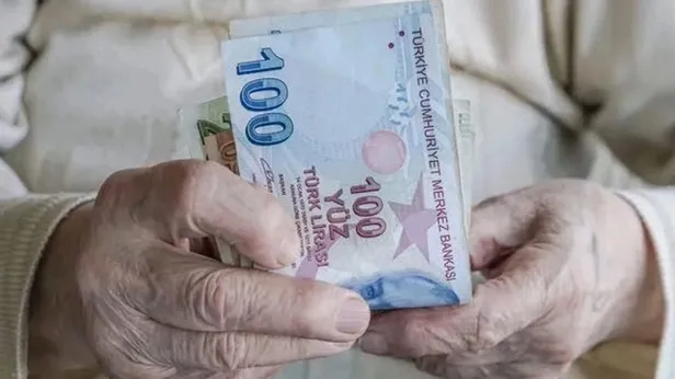 Asgari ücret zammı ile %40-69 arası engelli aylığı kaç TL olacak? 2024 Engelli aylığı ne kadar oldu? 2024 Ocak %70 ve üstü engelli aylığı kaç lira?