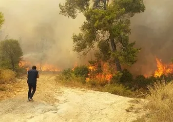 Muğla'da orman yangını