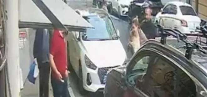 Bahar Aksu cinayetinde kan donduran detay! Katil mirasın peşindeymiş