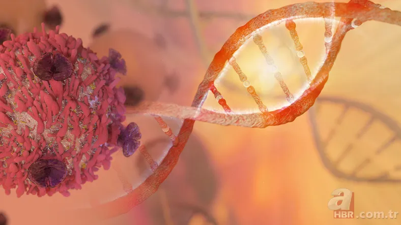 Lenfoma hastalığı nedir? Lenfoma ne demek? Lenf kanseri belirtileri nelerdir? 8