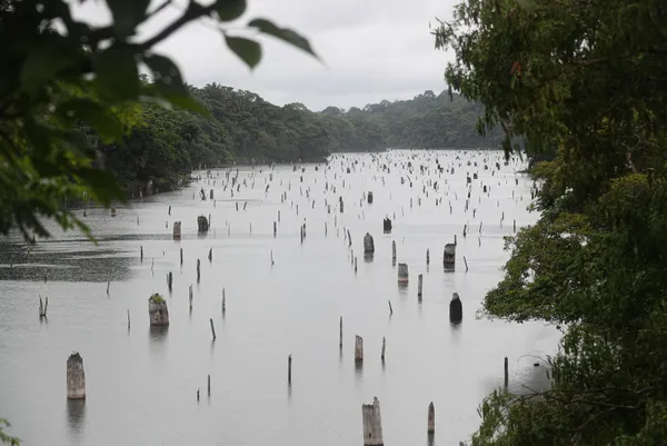 Küresel ticarette Panama paniği! Kuraklık vurdu geçişler sınırlandırıldı