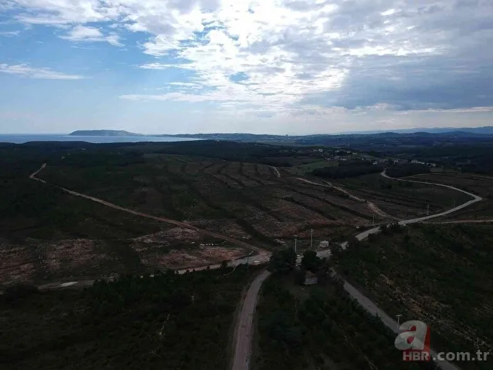 Başkan Erdoğan işaret etti: Sinop NGS bölgesi havadan görüntülendi