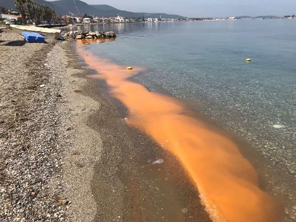 İzmir'de korkutan görüntü - 1