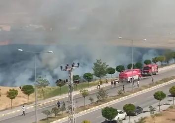 Van'da korkutan yangın! Buğday tarlası alev alev yandı