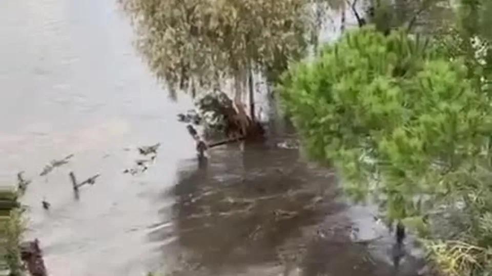 Son dakika: Ege’de meydana gelen deprem sonrası İzmir’de tsunami paniği