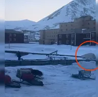 Kutup ayısı böyle kovaladı!