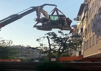 Avcılar'da çatıdan vinçle indiler