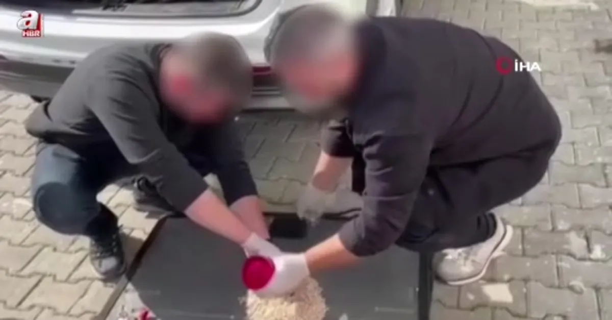 Gemlik'te uyuşturucu operasyonu