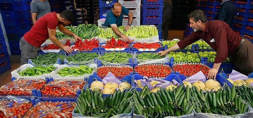 Son Dakika Koronavirus Bu Sektoru Vurmadi Turkiye Yas Sebze Ve Meyve Ihracatini Artirdi