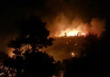 Manavgat'ta orman yangını