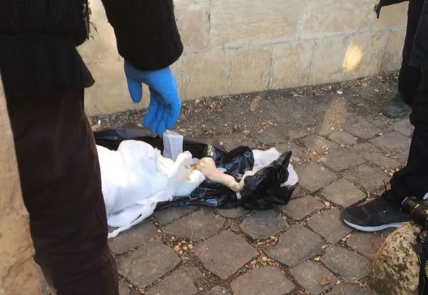 Cami bahçesinde kesik bacak bulundu - 1