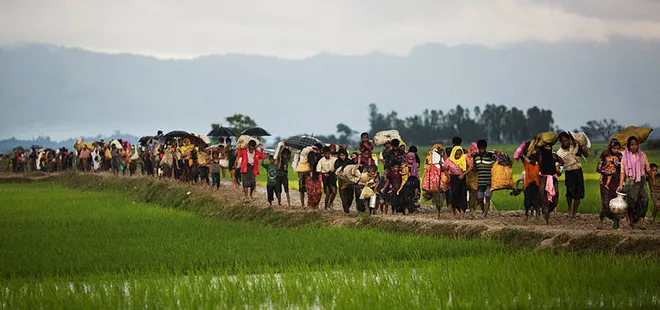 Hollanda’dan skandal Arakan kararı
