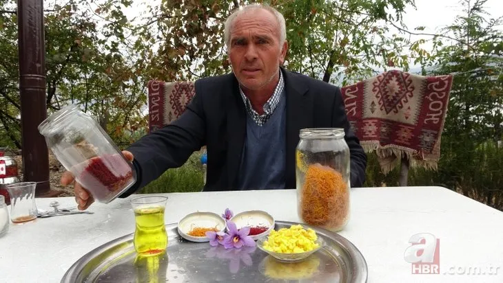 Adana’da safran hasadı başladı: Gramı 50 liradan satılıyor