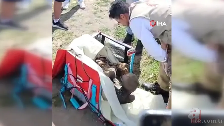 Eski kuryenin çantasından çıkan dehşete düşürdü! Kız arkadaşı olarak görüp aynı odada kalmış! Yüzlerce yıllık... 3