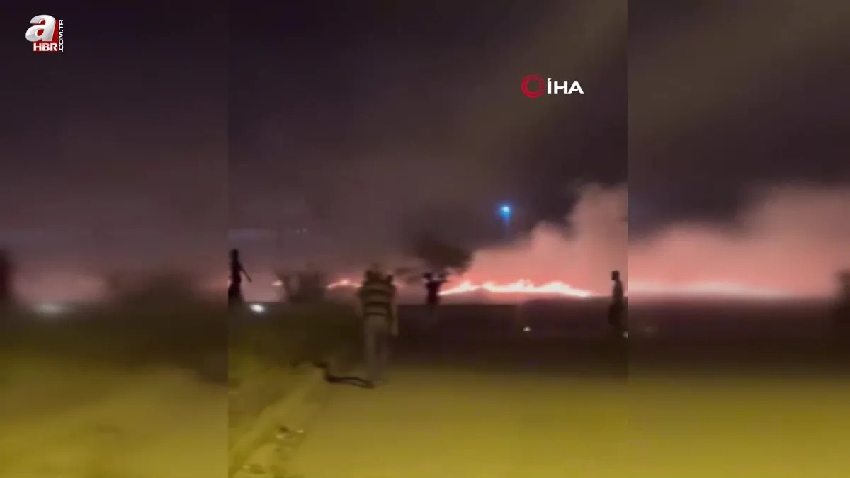 Elazığ'da otluk alanda yangın