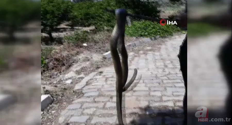 Satılık otomobilden çıkan şoke etti! 6