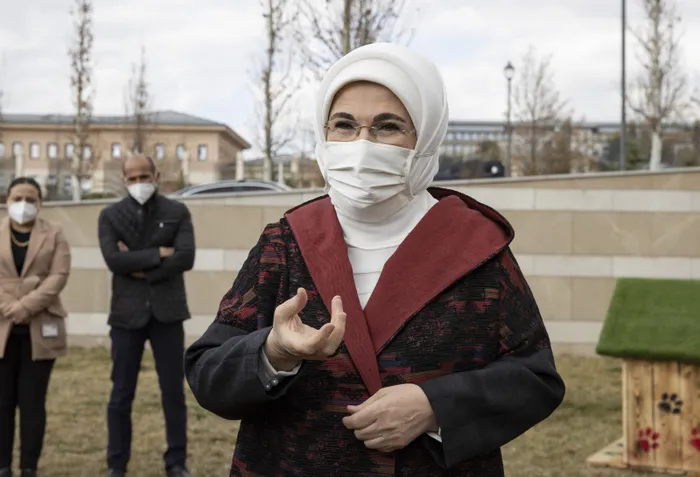 Emine Erdoğan başlatmıştı! Külliye'deki atıklar geri dönüştürülerek sokak hayvanlarına 'yuva' oldu - 3