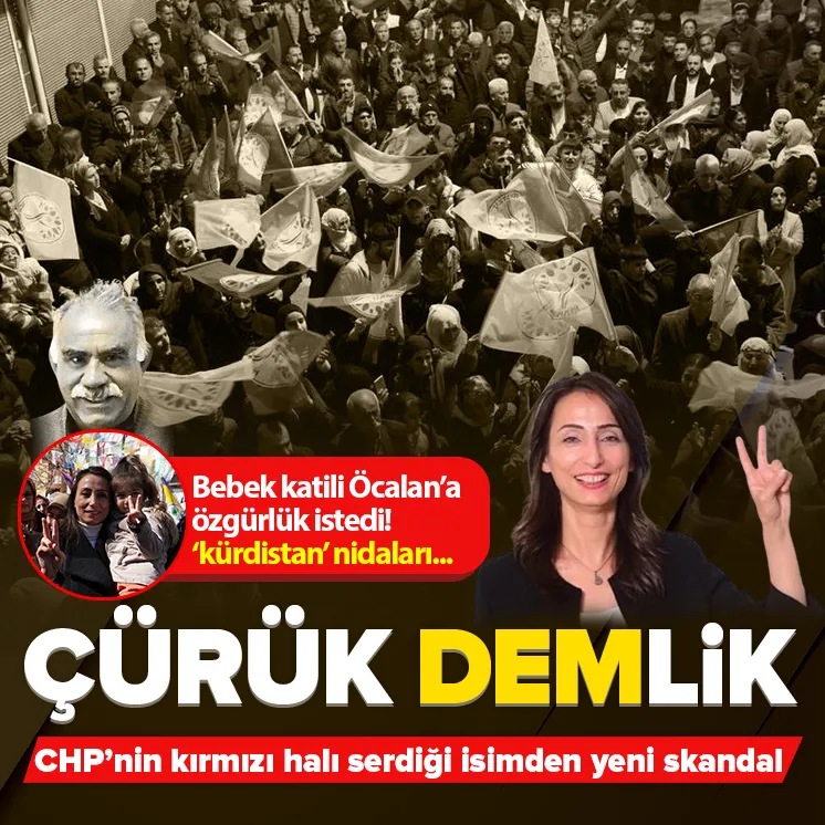 DEMli Hatimoğullarında skandal kürdistan çıkışı