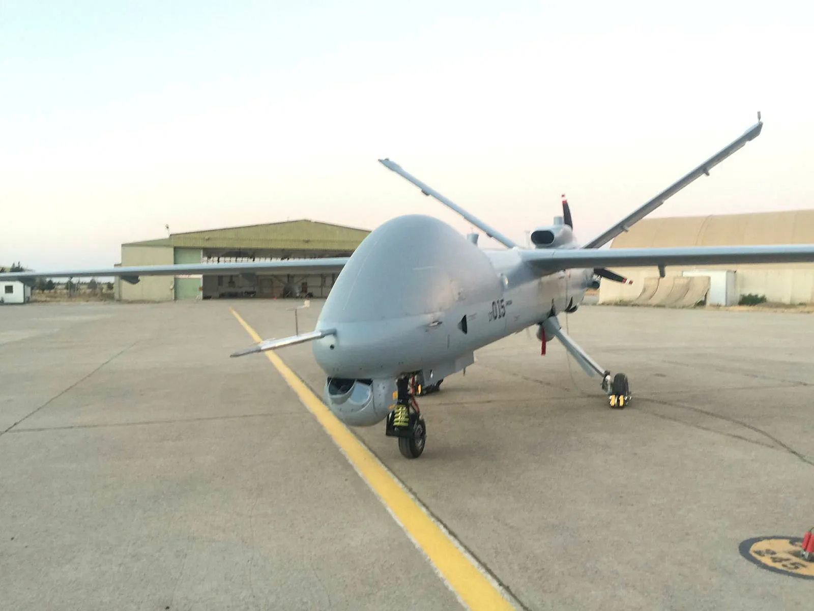 Anka "milli gözle" görecek