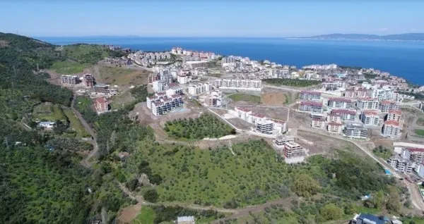 CHP’li başkan zeytinlikleri katletti! Hem talan hem de şov yapıyor