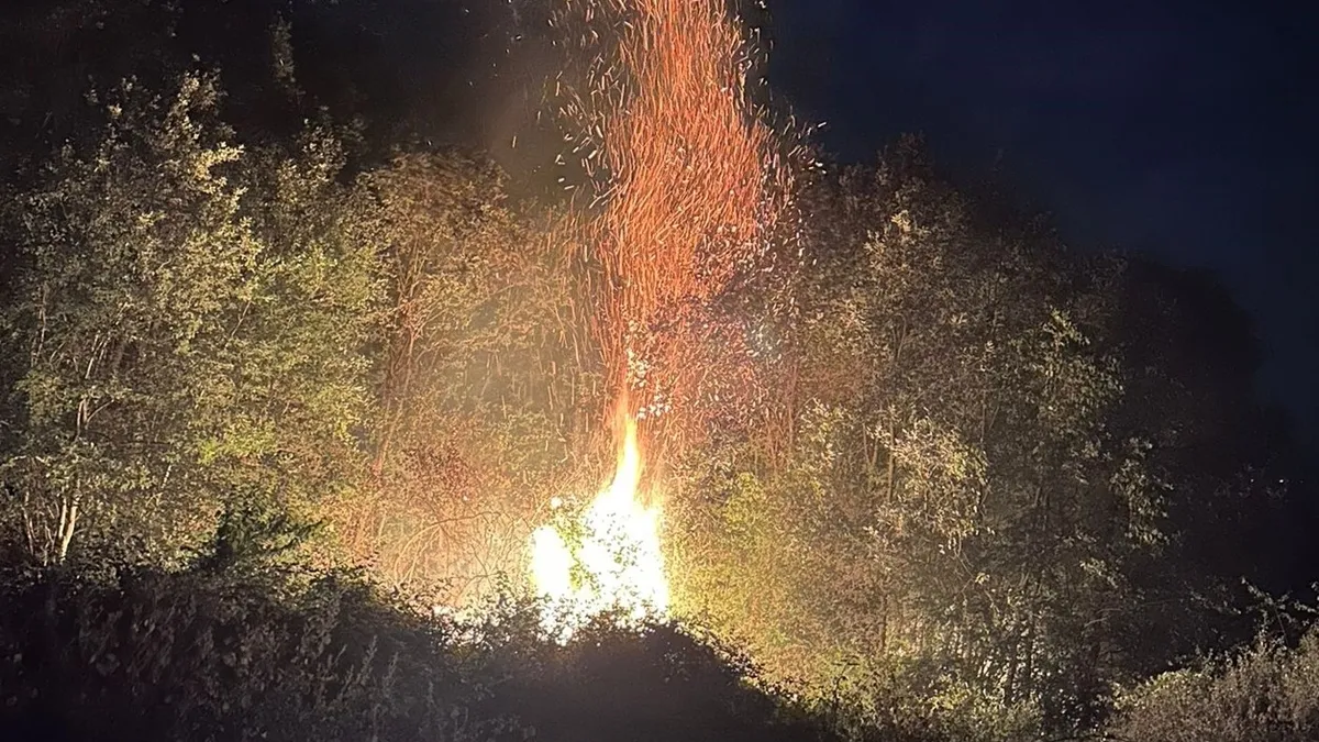 O ilimizde orman yangını! 2 hektarlık alan zarar gördü