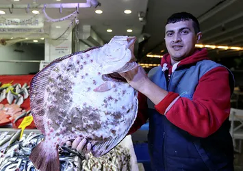 Kalkanın fiyatı altınla yarışıyor