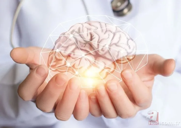 İbn-i Sina'nın 'şifa kaynağı' dediği baharat! Unutkanlığa savaş açıyor! Hafızayı güçlendirmek için aç karnına... 14