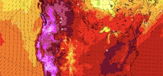 Son dakika: Kanada’da termometreler 49,5 dereceyi gösterdi! Aşırı sıcaklıklar 233 kişiyi öldürdü