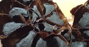 Dolandırıcılar saçı dökülenleri gözüne kestirdi