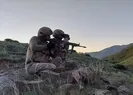Terör örgütü PKKda para kavgası