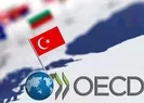 OECD, Türkiyenin büyüme tahminini yükseltti
