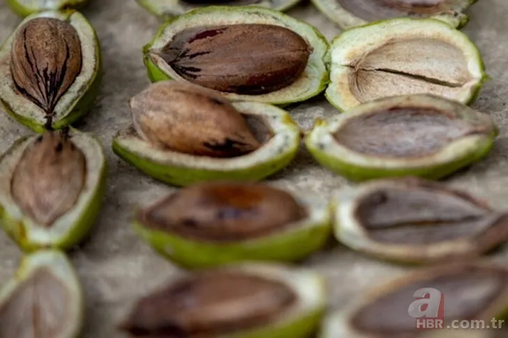 Öyle bir iş kurdu ki paraya para demiyor! Bu iş için mühendisliği bıraktı! Çok basit... 5