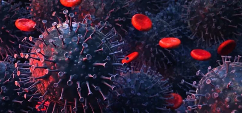 50 kişide görüldü! İngiliz varyantı Fransa’da mutasyon geçirdi