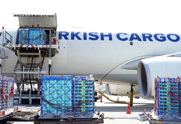 Türk kirazı Turkish Cargo ile dünya markası olma yolunda - 3