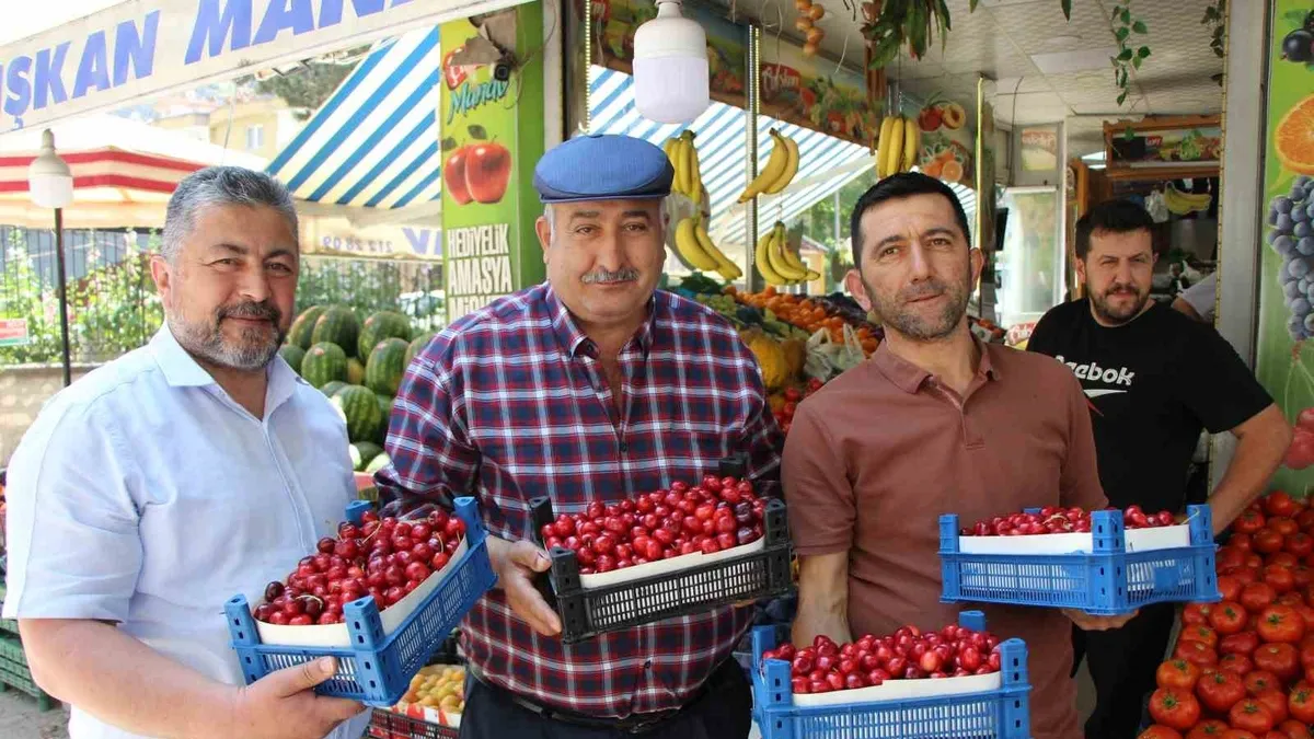 Amasya'da 60 yıldır yarışması yapılıyordu, şimdi bir tane bile kiraz yok