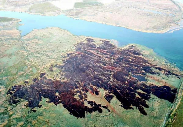 Son dakika: Ciğerlerimizi ateşe veren hainin görüntüsü ortaya çıktı! Yangın çıkarıp selfie yapmış