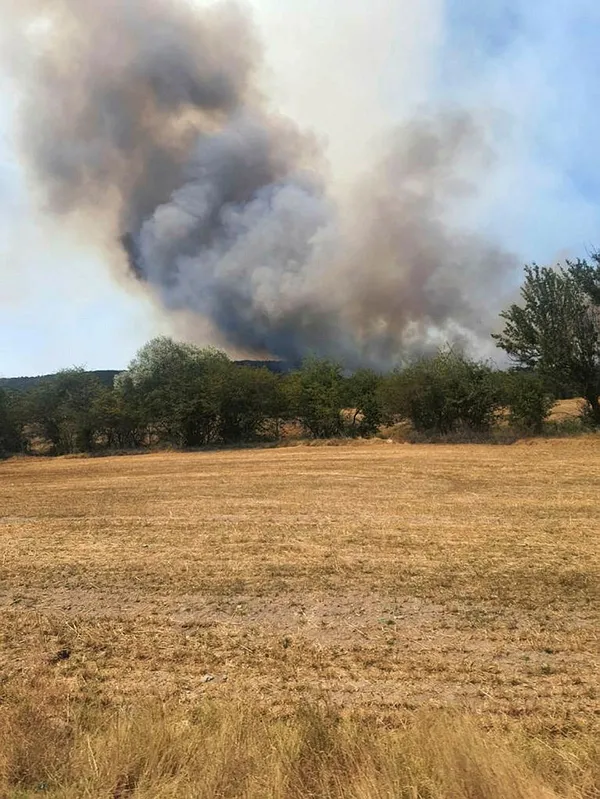 bir-orman-yangini-da-eskisehirde-cok-sayida-ekip-sevk-edildi-1692789934425.jpg Bir orman yangını da Eskişehir'de! Çok sayıda ekip sevk edildi - 2