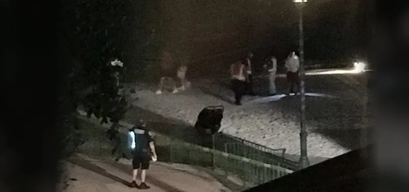 ABD'DE TİMSAH, 2 YAŞINDAKİ ÇOCUĞU KAPTI