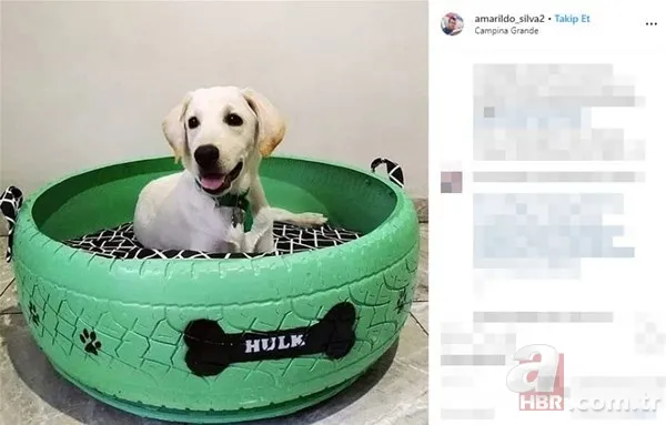 Eski lastikleri toplayıp bakın ne yaptı... 8