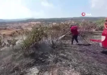 Bingöl’de çıkan yangınlar söndürüldü