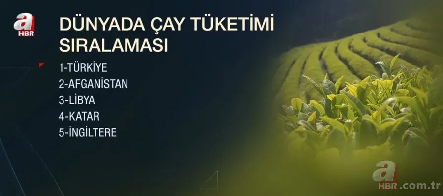 Çayı bu şekilde tüketiyorsanız dikkat! Çayın faydaları ve zararları neler? Çaydaki kafein nasıl azaltılır? 11