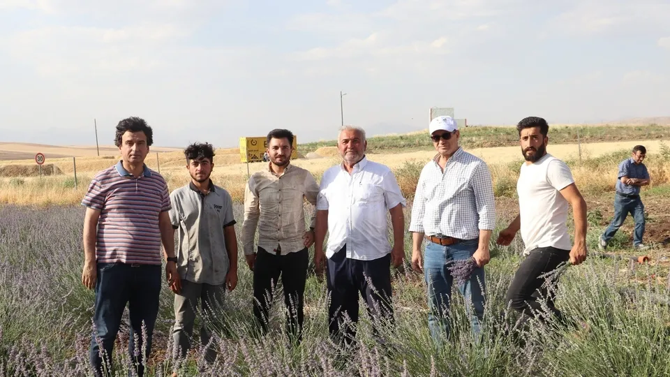 Siirt’te çiftçiden büyük ilgi gören hamle! Hibe desteğiyle yetiştirdi: Bu ürünün geliri çok gideri yok